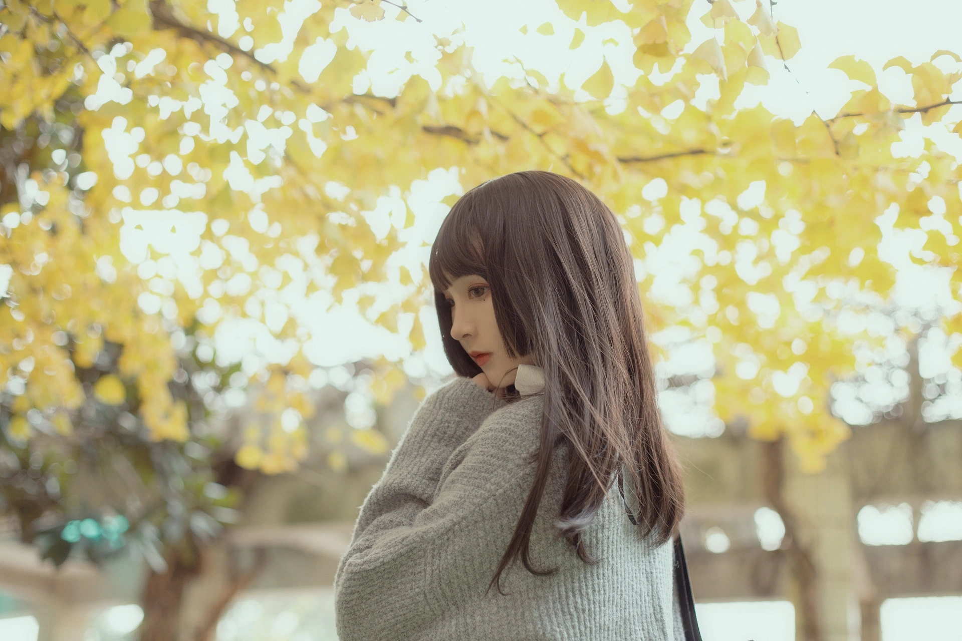 古川kagura - NO.41 银杏树下 1